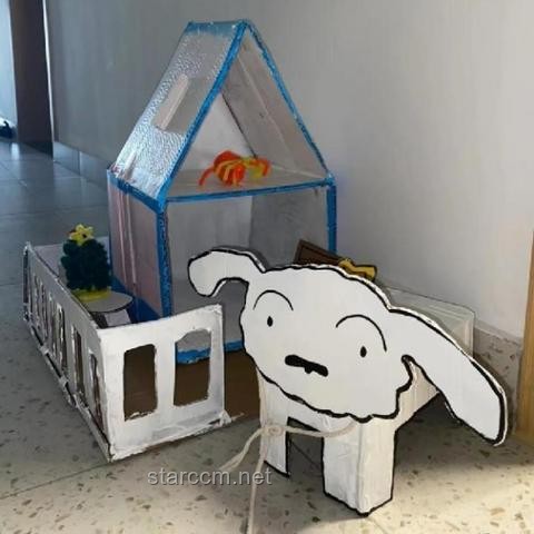 “替我在宿舍自由”与传统宿舍生活对比分析